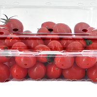 Contenitore per Alimenti Usa e Getta in PET Riciclabile con Design a Conchiglia, Goffrato, per Prodotti Agricoli, Frutta e Verdura