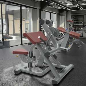 Équipement de musculation professionnel pour salle de sport, machine à biceps, entraîneur musculaire pour la musculation, LK-066, meilleur équipement de gym LK-066 - Product Image 3