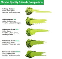 Poudre de Matcha de Qualité Cérémoniale Supérieure 30/50g 3A-6A en Boîte Métallique Bio