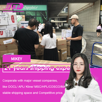 Swwls, agent d'expédition de fret aérien, ligne de logistique directe de porte à porte, tarifs d'expédition de la Chine vers l'entrepôt de Dubaï aux Émirats arabes unis
