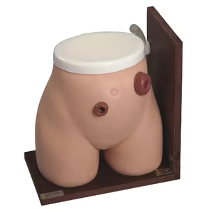 Mô hình giải phẫu y khoa mô phỏng hậu môn nhân tạo bằng nhựa PVC chất lượng cao, kích thước người thật, dùng cho việc dạy nghề điều dưỡng. - Product Image 4