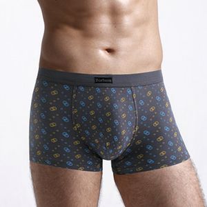 Short personnalisé transparent <span class=keywords><strong>miiow</strong></span> week boxer culotte pour garçon cool boxer sous-vêtements pour hommes - Product Image 5