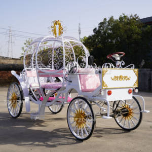 รถม้าฟักทองเทพนิยายซินเดอเรลล่าสุดหรู สำหรับงานแต่งงาน สวนสนุก ขี่เล่น และการขนส่งพิเศษสำหรับพิธีในสวนสาธารณะ - Product Image 3