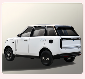 Negocio de Alquiler de Vehículos Todoterreno de Cuatro Ruedas, Autonomía de 201-300 km, Batería de 110 kWh, 500 Nm - Product Image 3