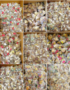 Vente en gros usine – Infusion personnalisée à faible MOQ de curcuma, gingembre et cannelle, mélange d'herbes naturelles pour stimuler le métabolisme et favoriser le confort digestif - Product Image 5