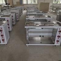 Four à rôtir industriel professionnel pour poulet, électrique/gaz, machine à rôtir sur rotissoire à vendre
