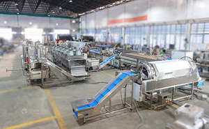 Linea Automatica per la Lavorazione del Taro: Lavaggio, Taglio, Sminuzzamento, Essiccazione, Frittura e Congelamento Rapido IQF con Confezionatrice - Product Image 2