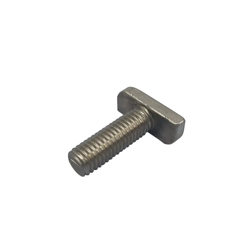 Customized SUS304 Stainless Steel T Bolt M8 M10 Rectangular Square T Head Type Bolt