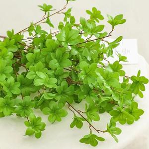 Plante simulée campanule japonaise feuilles verdure montagne feuilles de <span class=keywords><strong>laurier</strong></span> décoration intérieure aménagement paysager simulé - Product Image 3