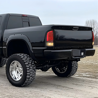 Für 2002-2006 Dodge Ram 1500 /2003-2006 Ram 2500 3500 LED-Rückleuchten LED-Hecklampen mit Klarglas Neuzustand ABS-Material