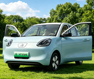 Laotou <span class=keywords><strong>Le</strong></span>, voiture électrique compacte 4 places homologuée CEE pour les rues urbaines européennes - Product Image 1