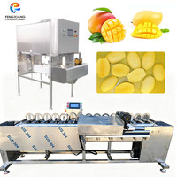 Multihead mango-ontpittermachine, machine voor het ontpitten van verse mango's voor mango-verwerkingsbedrijven