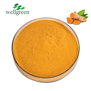 Organic Natural Pigment Fine Powder Liposome <strong>Curcumin</strong> Turmeric Root <strong>Extract</strong> <strong>95</strong>% <strong>Curcumin</strong> Powder - Product Image 2