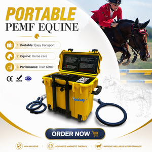 เครื่องแมกนีโตแม็กเนติก PEMF แบบพกพา คุ้มค่ากับราคา ช่วยปรับปรุงการไหลเวียนโลหิต อุปกรณ์ฟื้นฟูสุขภาพสัตว์ด้วย PEMF สำหรับคลินิกสัตว์ - Product Image 1