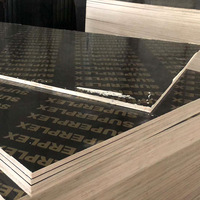 Contreplaqué filmé noir 18 mm 2440x1220 mm, âme en eucalyptus, peuplier et pin, surface lisse, réutilisable pour coffrage de béton