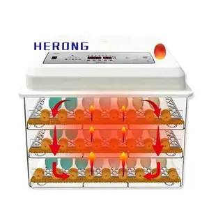 Home Use Mini Egg Incubator Mini Automatic Egg Incubator Plastic Hatching Equipment