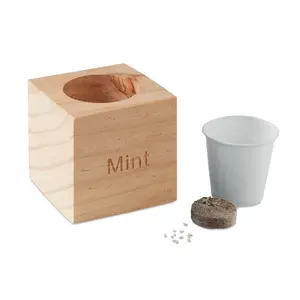 Mini barattolo MINT in legno, gadget ecologici - Product Image 3