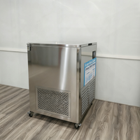 Congélateur à plaques industriel pour aliments congelés Congélateur commercial rapide pour la congélation de la viande