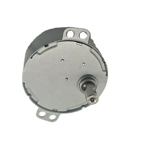 Moteur synchrone miniature à engrenages monophasé haute qualité, grand couple, 110V-240V TY-50 4W AC pour extracteur de jus et appareils électroménagers - Product Image 5