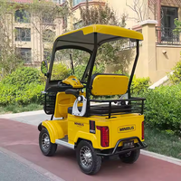 Nouveau Scooter électrique deux places E20 avec abri Véhicule électrique à quatre roues 500W/800W Puissance du moteur 60V Smart Electronic Ebike