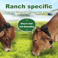 Q19 Faible consommation d'énergie Longue autonomie Localisateur de bétail, de moutons, de chevaux 4G Suivi solaire Animal Vache GPS Tracker