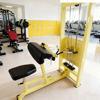 Mesin Fitness Gym Kekuatan Berkualitas Tinggi dengan Beban Pin untuk Latihan Biceps Triceps Curl SELECTORIZED