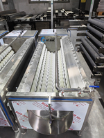 Automatische Fruitschiller Voor Wortelen En Gember Met Fotolijn En Borstelroller Voor Het Reinigen Van Het Wassen Van Peeling-Beste Prijs