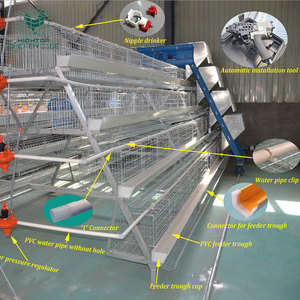 Batería tipo A para criar huevos, poner <span class=keywords><strong>pollos</strong></span>, gallinas, jaulas, nuevo, duradero y fácil <span class=keywords><strong>de</strong></span> instalar, certificado ISO9001 - Product Image 2