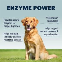 Poudre de probiotiques OEM/ODM avec des enzymes digestives pour améliorer la santé intestinale et l'immunité du supplément nutritionnel pour animaux de compagnie