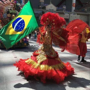 Mejor traje de carnaval brasil para la instalación de vidrio segura y  protegida - Alibaba.com