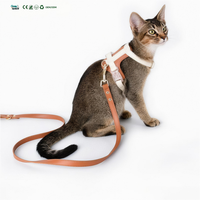 Collier de luxe pour chien, réglable, mains libres, multifonctionnel, personnalisé, 4-en-1, en nylon enduit de PVC, imperméable, avec trous supplémentaires et accessoires de charme