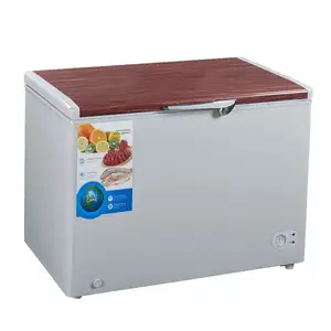 300L Best Selling Portable Single Solid Door Small Deep Freezer Chest