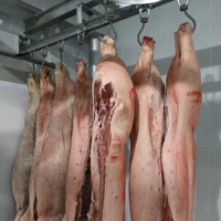Système d'abattage de porcs entièrement automatique à haute efficacité, pompe à moteur en acier inoxydable SUS 304 pour l'industrie de transformation du porc, abattoir