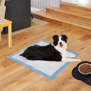 Almohadillas de Entrenamiento para Perros de Grosor Medio 2026, las Más Vendidas, Impermeables, Eliminan Olores, Transpirables, para Orina de Mascotas - Product Image 5