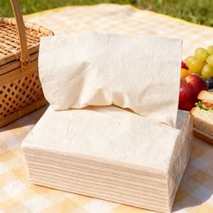 Serviettes en <span class=keywords><strong>papier</strong></span> jetables écologiques 2 plis – Serviettes de table douces en sachet pour la cuisine, les fêtes, les mariages, les dîners avec gaufrage - Product Image 5