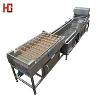 Hoge Capaciteit Bubble Cleaning Wasmachine/Luchtbel Wasmachine Voor Cactusvijg Apple Aardbei Mango