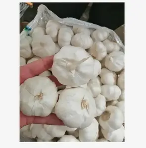 Ajo <span class=keywords><strong>Picante</strong></span> de Alta Calidad para Cocinar al por Mayor - Product Image 5