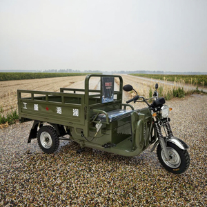 Manufacturer Direct WANGHU 1.8m Electric Cargo Tricycle 3-Wheel Open Body 1500W 1500kg 60V 50-70km/h 400kg National Standard - Product Image 3