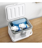 Glacière en plastique à sangle de 4 L, boîte de transport de vaccins, camping en plein air, pique-nique, glacière isolée pour boissons, boîte à bière avec verrouillage pour le refroidissement des boissons