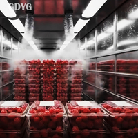 FOB Volle Container Export Fruit, Zonder Additieven Catering Groothandel Diepvries Besjes Diepvries Goede Kwaliteit Hot Sale Prijs