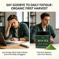 Matcha en Polvo Vegano 100% de Marca Privada OEM, Textura Superfina para la Ceremonia Tradicional del Té