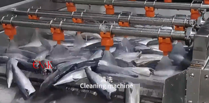 Machinerie d'usine de transformation de poissons <span class=keywords><strong>en</strong></span> conserve, ligne de production de sardines et de thon <span class=keywords><strong>en</strong></span> conserve, projet clé <span class=keywords><strong>en</strong></span> main - Product Image 6
