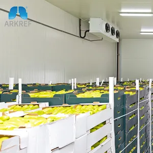 ARKREF enerji tasarrufu endüstriyel büyük dondurucu soğutmalı komple soğuk oda depolama
