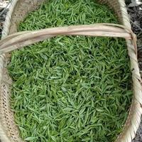Thé de printemps fait à la main de haute qualité Hangzhou Dragon Well Organic Longjing Mingqian Long Jing Green Tea EU USDA Certificated