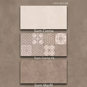 Azulejos de pared de cerámica de diseño italiano de 300x600mm, azulejos decorativos de porcelana para baño al aire libre antibacterianos digitales de 12x24, fábrica de azulejos decorativos - Product Image 6