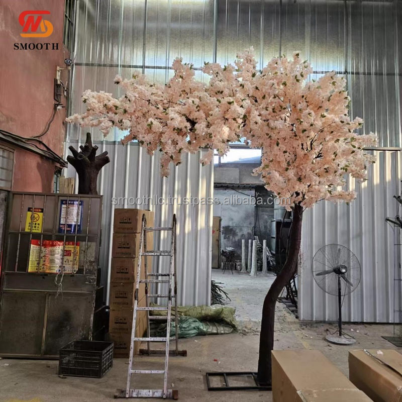 ต้นเชอร์รี่