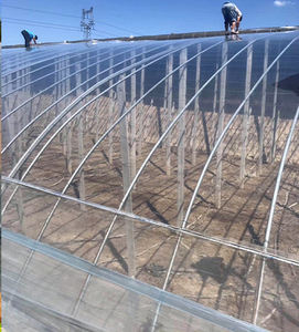 <span class=keywords><strong>Film</strong></span> agricole PE Senrnzo à vente chaude, 90% de transmission de la lumière, 200 microns, résistant aux UV, super résistant, anti-chute, moulage par soufflage - Product Image 3