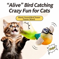 Jouet interactif pour chat en forme d'oiseau avec parfum mentholé - Simulation d'explosion pour le divertissement de votre animal de compagnie