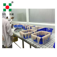 Ligne de production automatique de filets de poisson et autres produits de la pêche, congélation rapide, en vente et congélateur spiralé