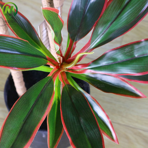 ยอดนิยมประดิษฐ์Dracaena FragransพืชบอนไซจําลองสูงFaux Sago Cycasพืชข้าวโพดกระถางสําหรับตกแต่งบ้าน - Product Image 4